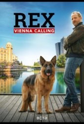 Комиссар Рэкс: Перезапуск