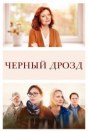 Чёрный дрозд