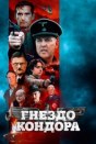 Гнездо кондора