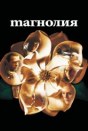 Магнолия