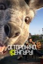 Осторожно, Кенгуру!