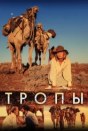 Тропы