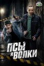 Псы и волки