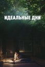 Идеальные дни