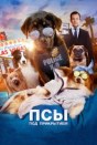 Псы под прикрытием