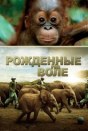 Рожденные на воле